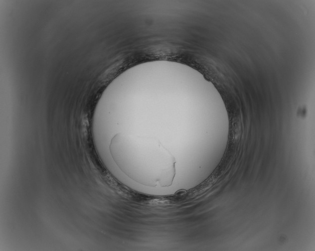 X0000090990279200708021210