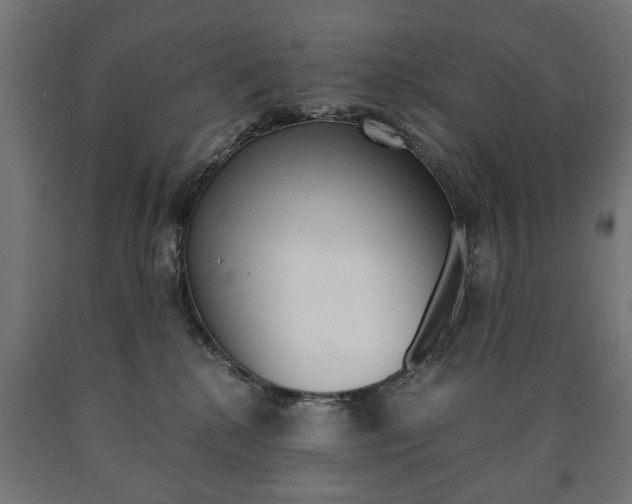 X0000090990280200708021210