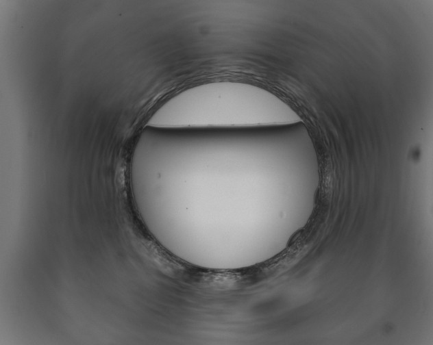 X0000090990282200708021210