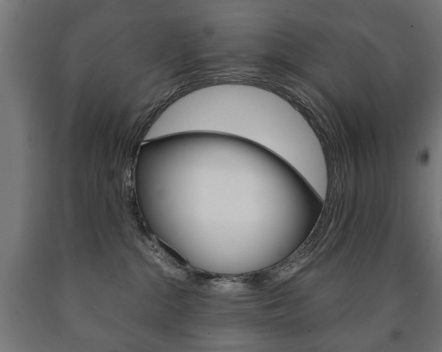 X0000090990284200708021210