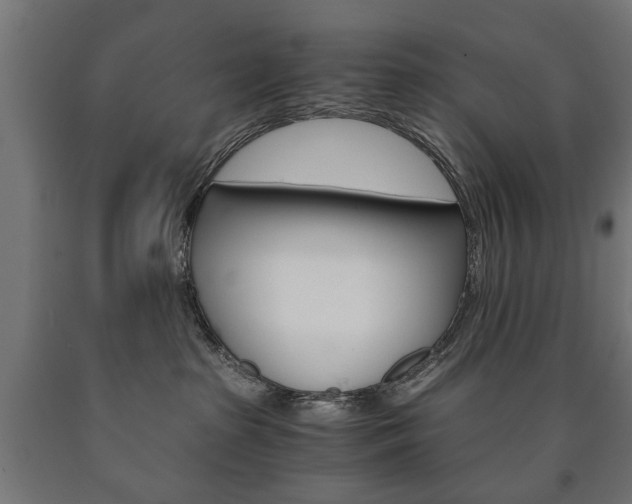 X0000090990285200708021210