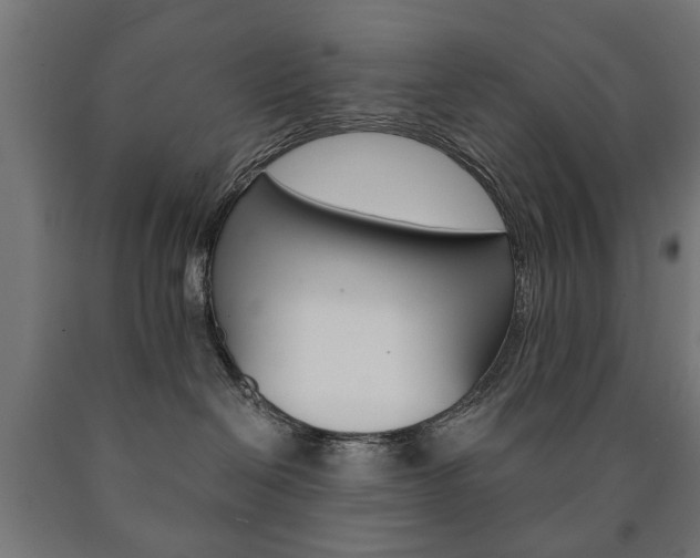 X0000090990286200708021210
