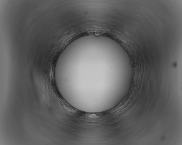 X0000090990287200708021210