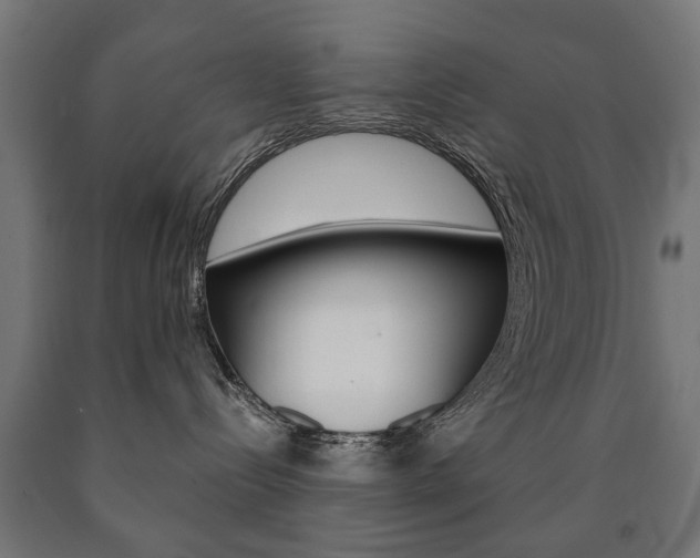 X0000090990288200708021210
