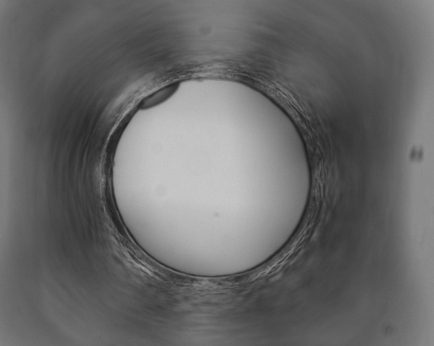 X0000090990290200708021209