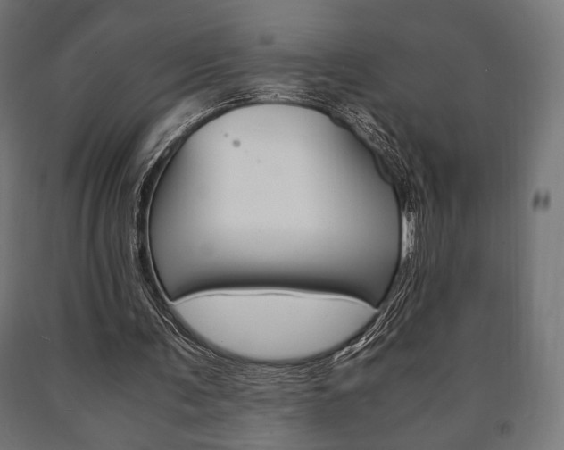 X0000090990291200708021209