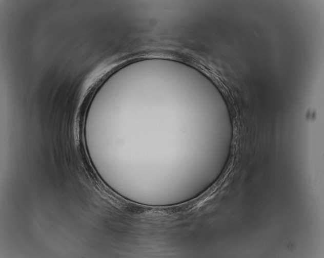 X0000090990294200708021209