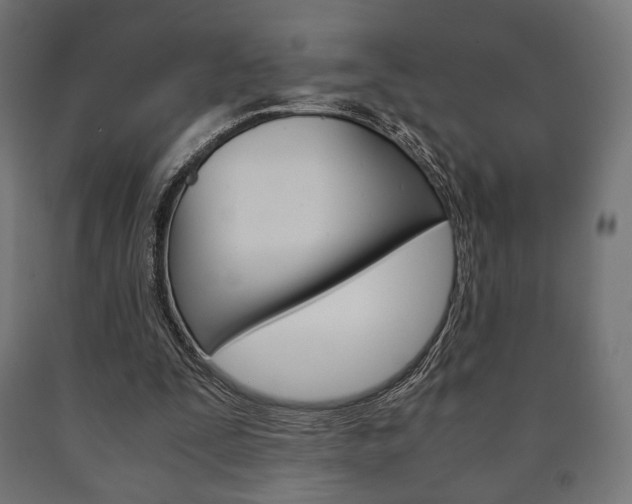 X0000090990295200708021209