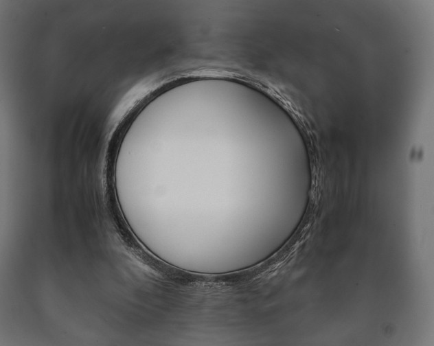 X0000090990296200708021209