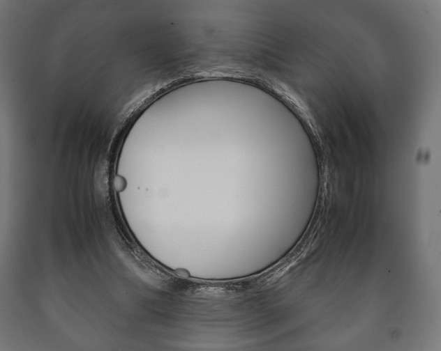 X0000090990298200708021209