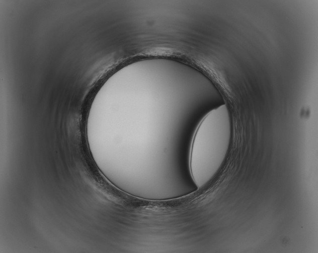 X0000090990300200708021209