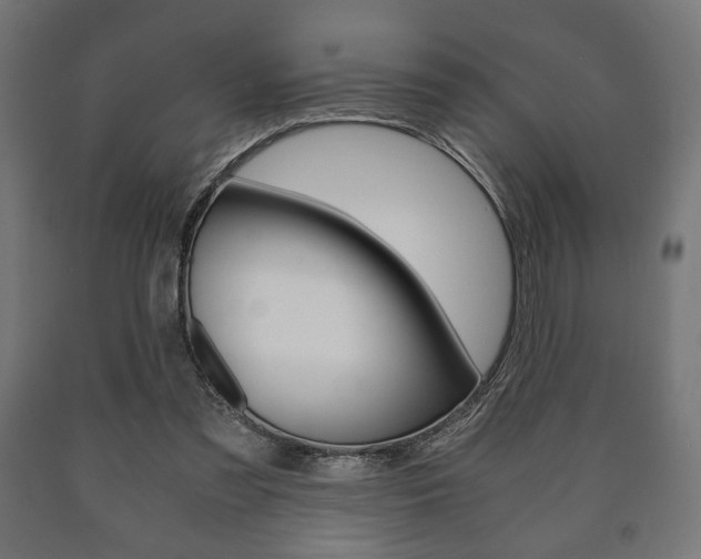 X0000090990301200708021209