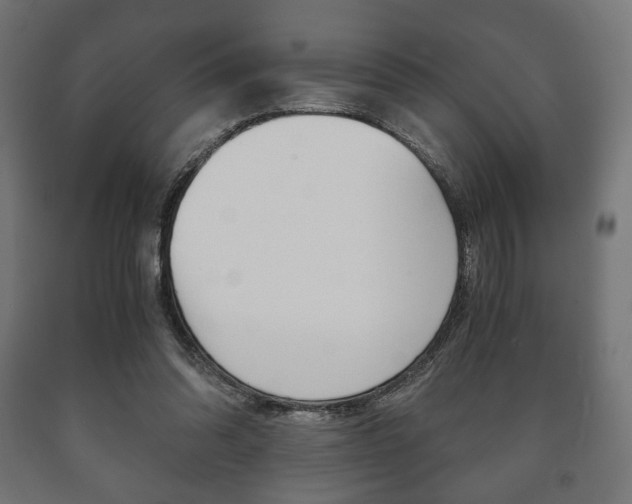 X0000090990302200708021209