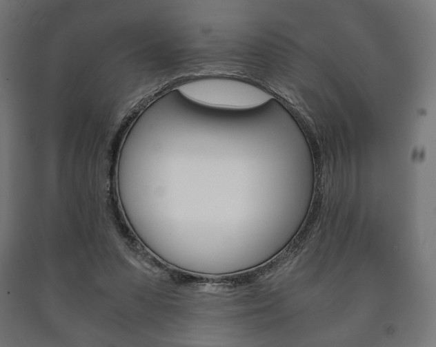 X0000090990303200708021209