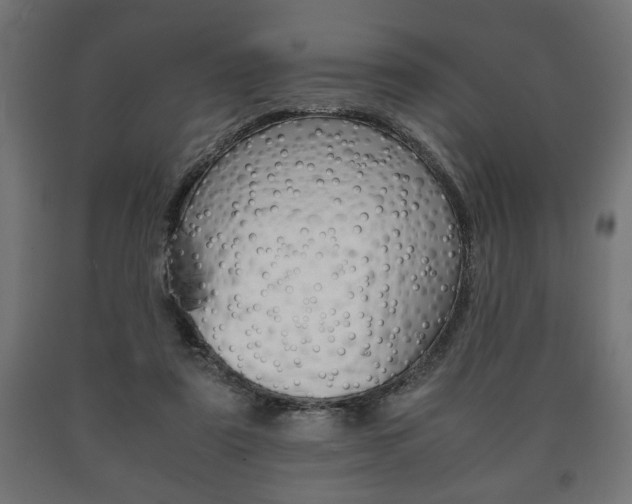 X0000090990307200708021209