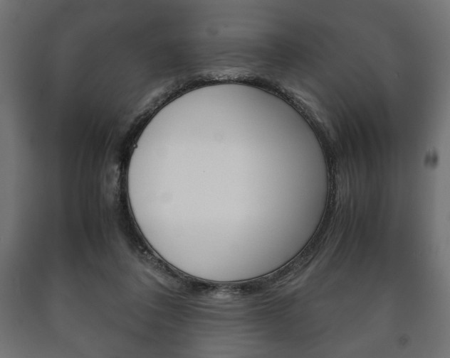X0000090990308200708021209