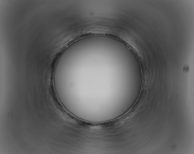 X0000090990309200708021209