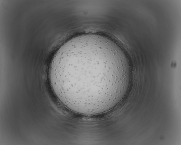 X0000090990311200708021209