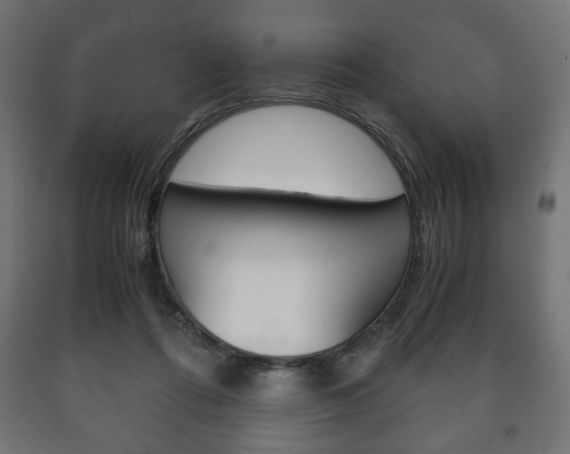 X0000090990312200708021209