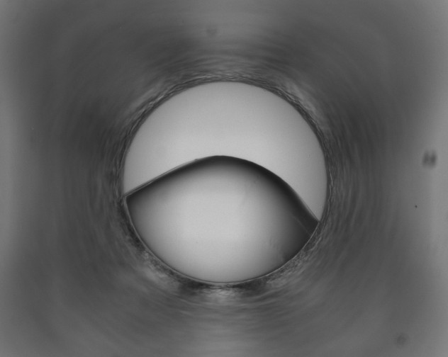 X0000090990313200708021209