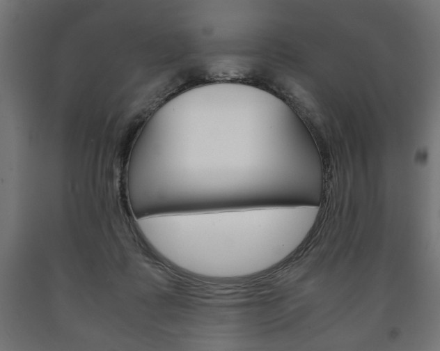 X0000090990315200708021209