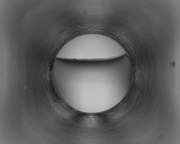 X0000090990316200708021209