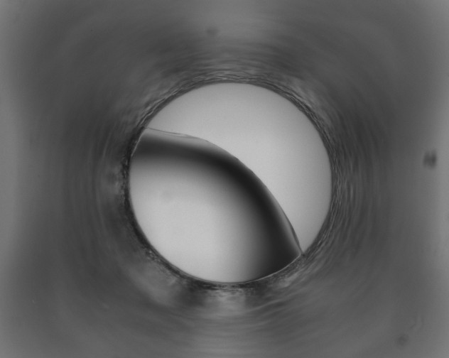 X0000090990317200708021209