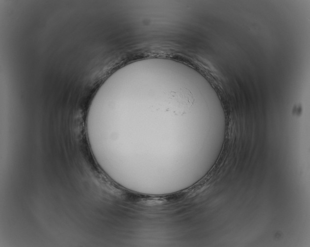 X0000090990318200708021209
