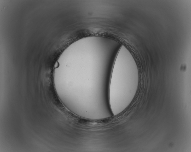 X0000090990319200708021209