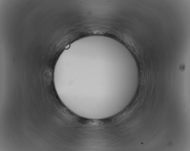 X0000090990321200708021209