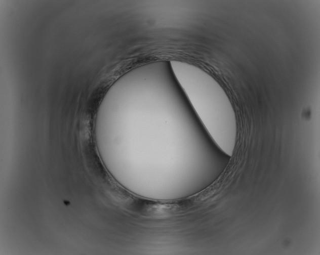 X0000090990323200708021209
