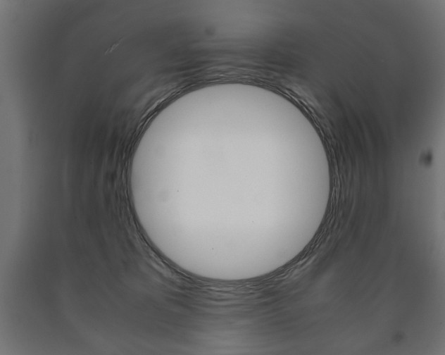 X0000090990325200708021209