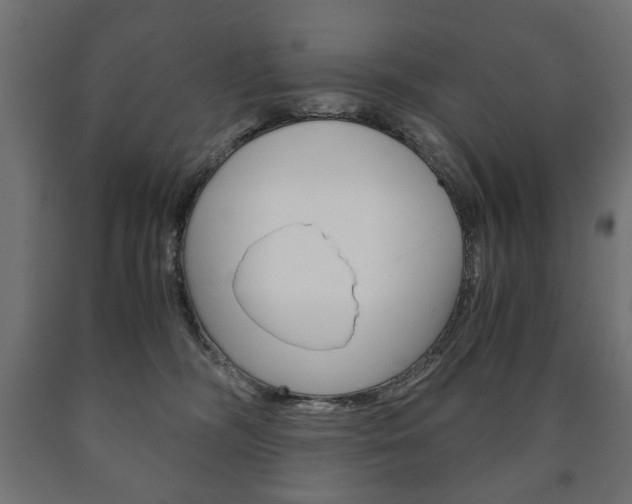 X0000090990326200708021209