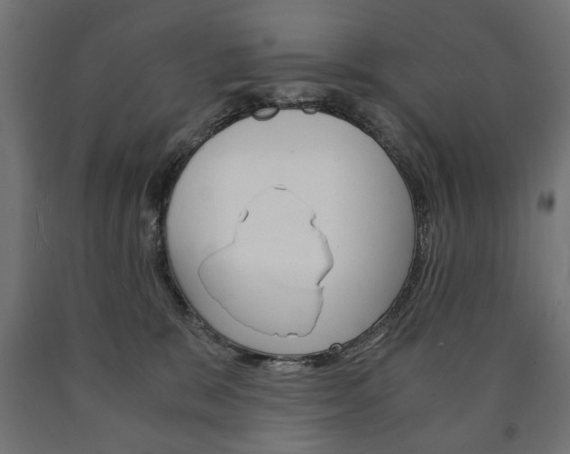 X0000090990327200708021209