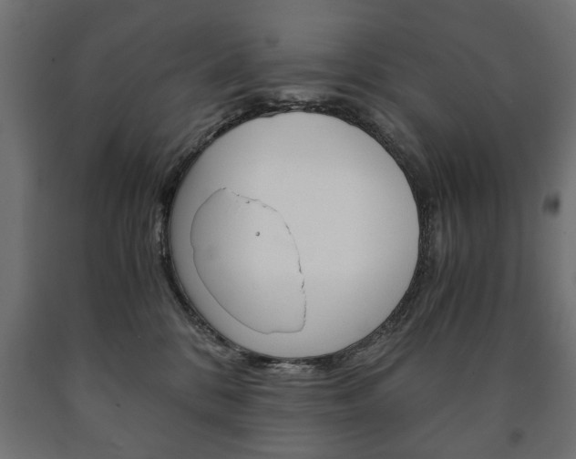 X0000090990328200708021209
