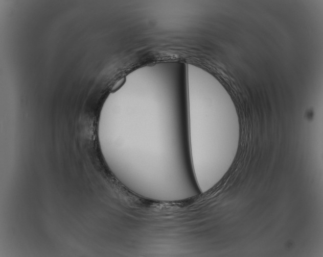 X0000090990331200708021209