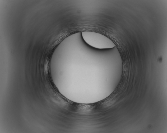 X0000090990334200708021209