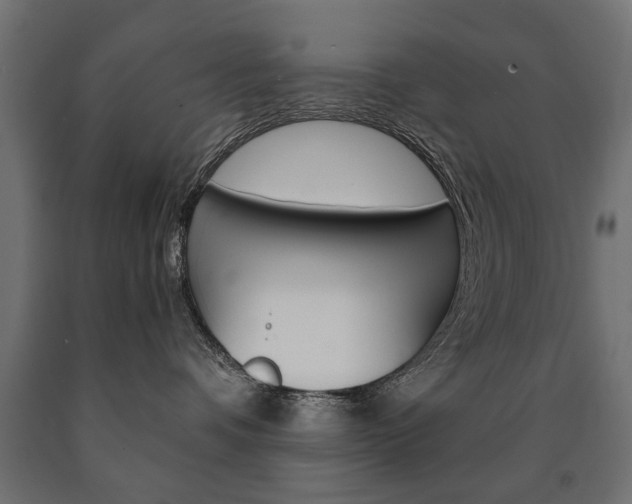 X0000090990336200708021209