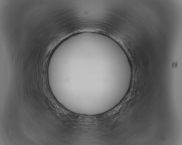 X0000090990337200708021208
