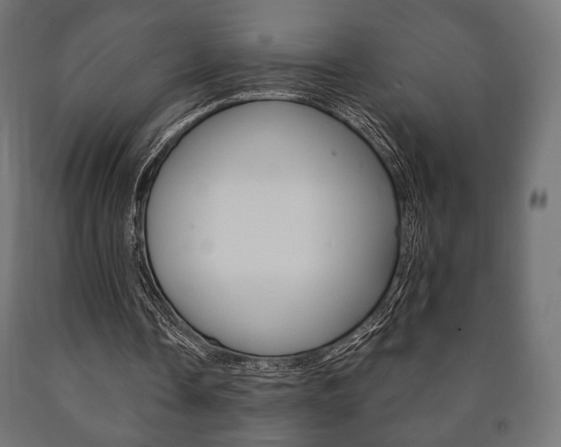 X0000090990338200708021208