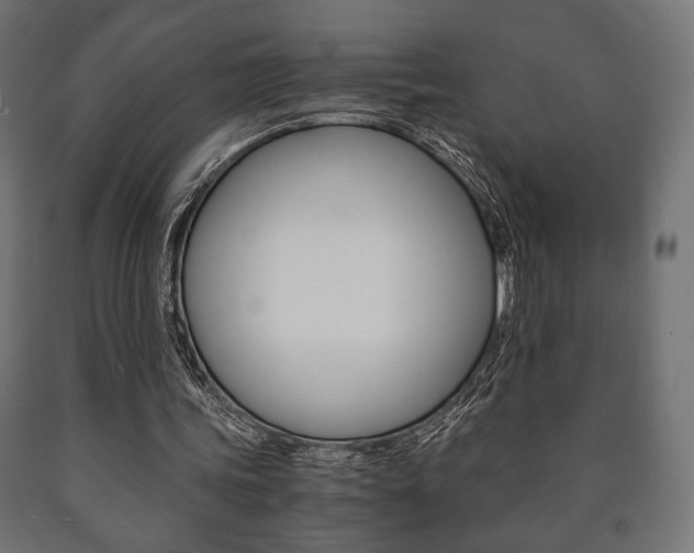 X0000090990339200708021208