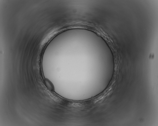 X0000090990341200708021208