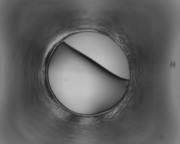 X0000090990342200708021208