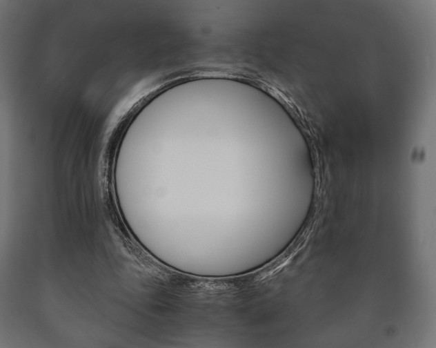 X0000090990343200708021208