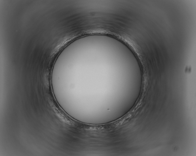 X0000090990345200708021208