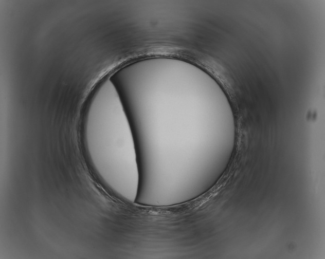X0000090990346200708021208