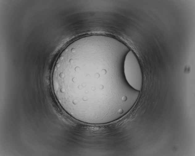 X0000090990347200708021208