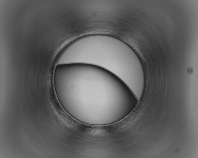 X0000090990348200708021208