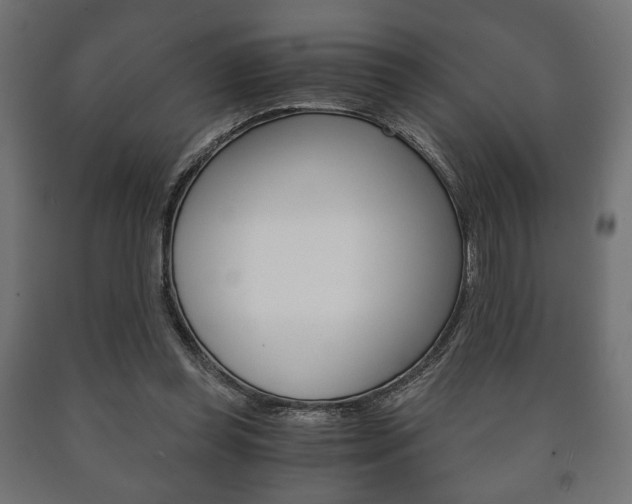 X0000090990349200708021208