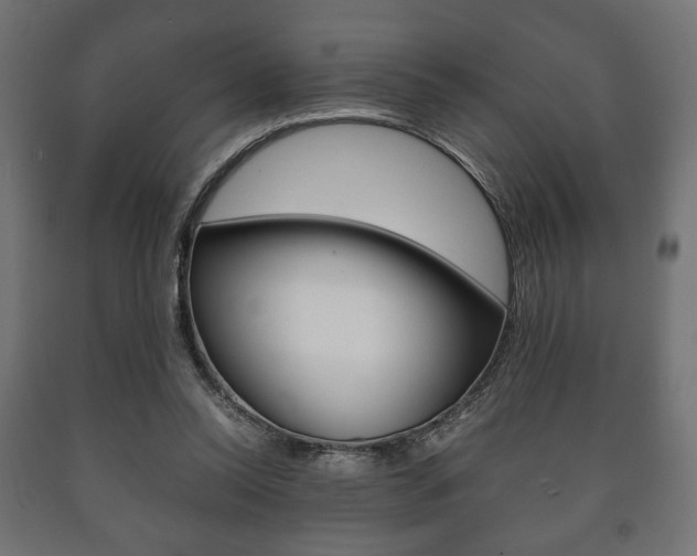 X0000090990350200708021208